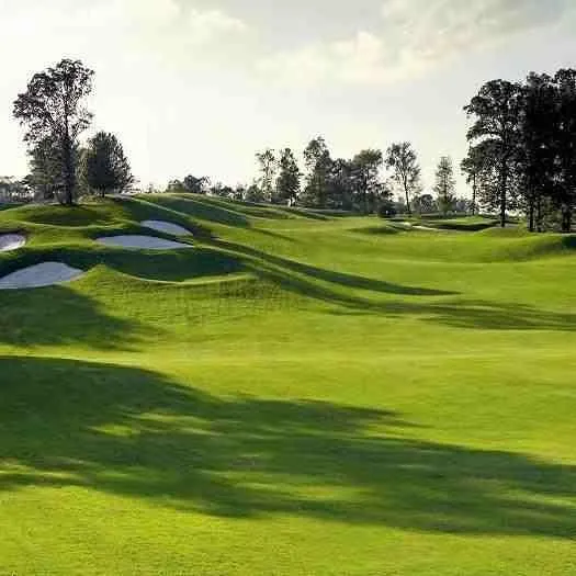 A contoured fairway at Grand Oaks with bunkers along one side and woods behind.
