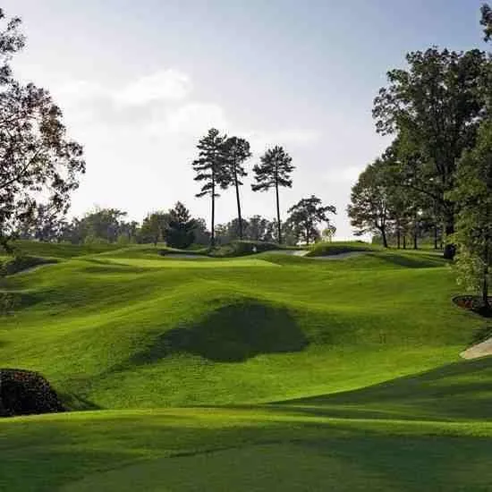 Rolling mounded fairway at Grand Oaks with bunkers and tall pines against a blue sky.