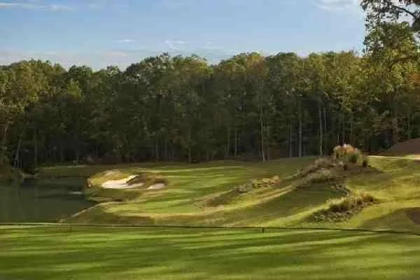 A fairway at Grand Oaks with a cluster of bunkers and native grasses in front of a dense tree line.